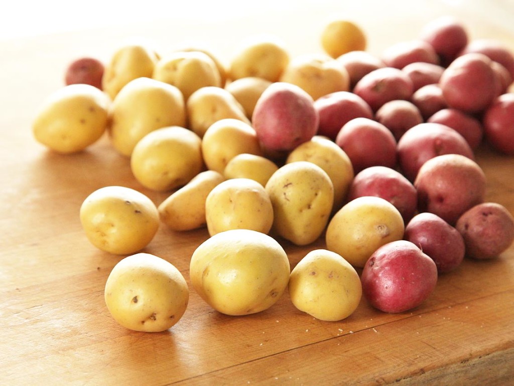 nagrafarm-potatoes