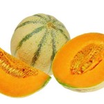 nagra-farm-melons
